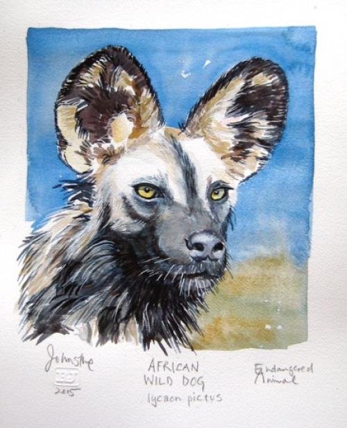 Wild Dog